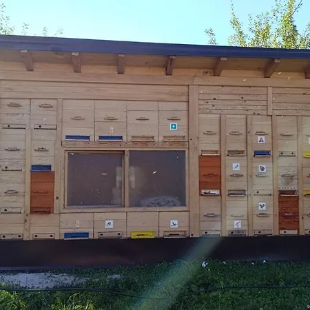 Apartament Ozim Oaza Zelenila I Mira *