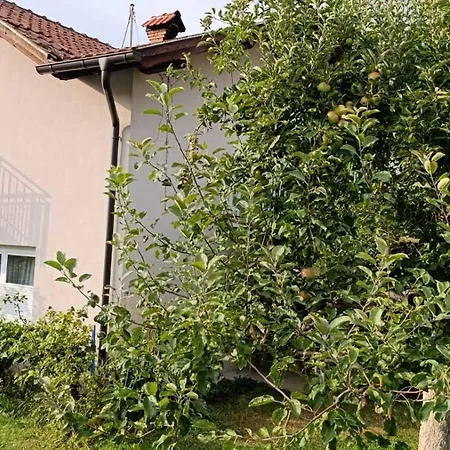 Apartment Ozim Oaza Zelenila I Mira *