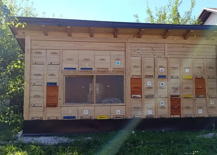 公寓 Ozim Oaza Zelenila I Mira *